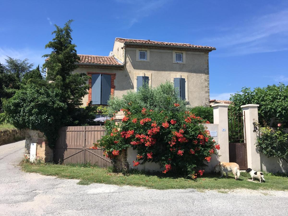 B&B - Le Vieux Figuier Vacqueyras Exterior foto